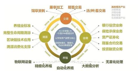 瑪拉沁艾力榮獲“通遼市農(nóng)牧龍頭”認(rèn)定 供應(yīng)鏈升級領(lǐng)跑行業(yè)新賽道